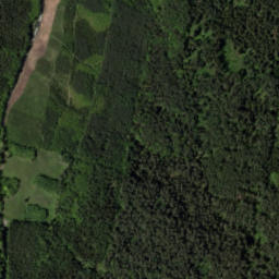 Satelita