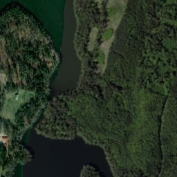 Satelita