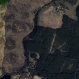 Satelita