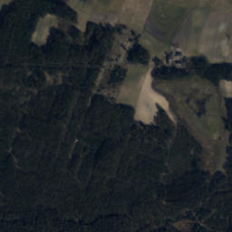 Satelita