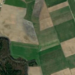 Satelita