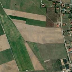 Satelita
