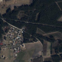 Satelita