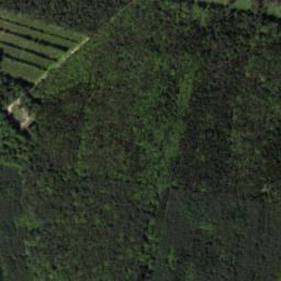 Satelita