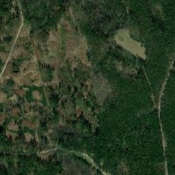 Satelita