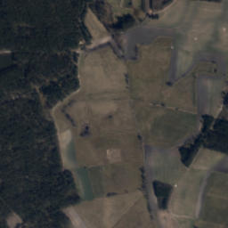 Satelita