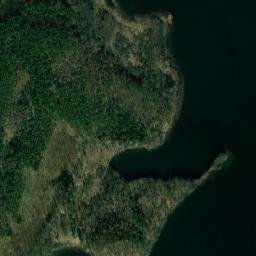 Satelita