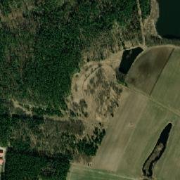 Satelita