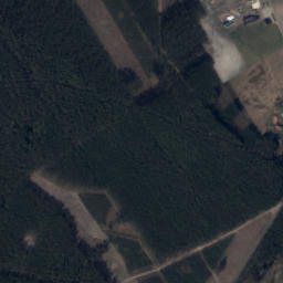 Satelita