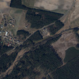 Satelita