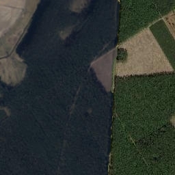 Satelita