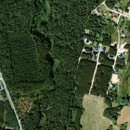 Satelita