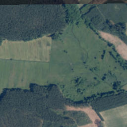 Satelita