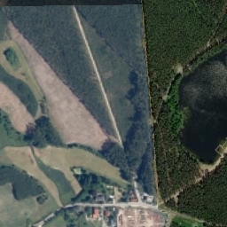 Satelita