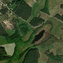 Satelita