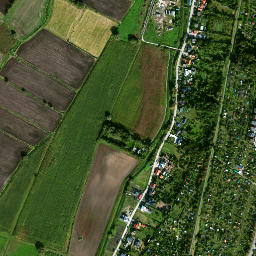 Satelita