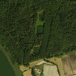 Satelita