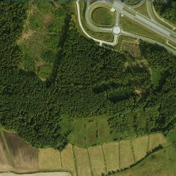 Satelita