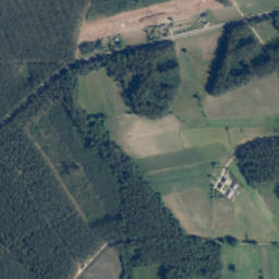 Satelita