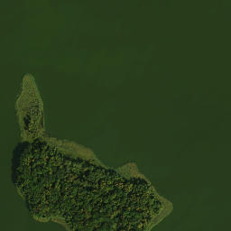 Satelita