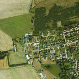 Satelita