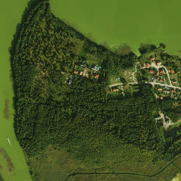 Satelita