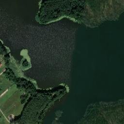 Satelita