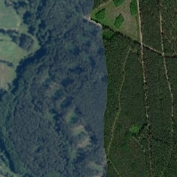 Satelita