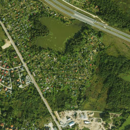 Satelita