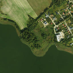 Satelita