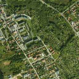 Satelita