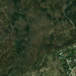 Satelita