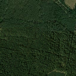 Satelita