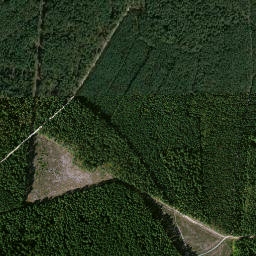 Satelita