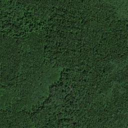 Dyat’kovskiy Rayon map(satellite map)