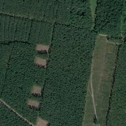 Satelita