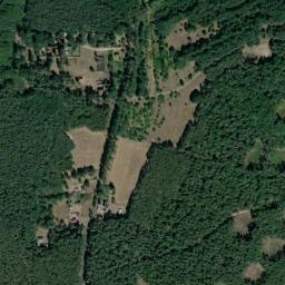 Satelita