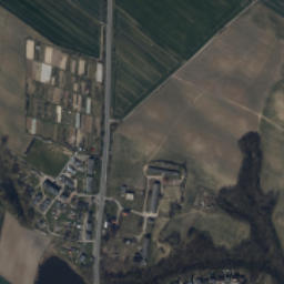 Satelita