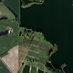Satelita