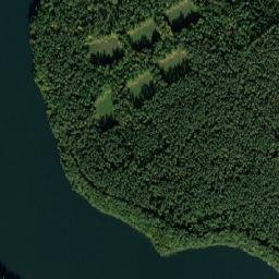 Satelita