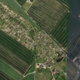 Satelita