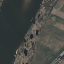 Satelita