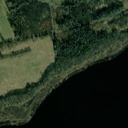 Satelita