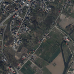 Satelita