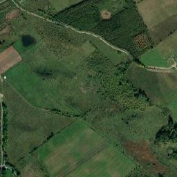 Satelita