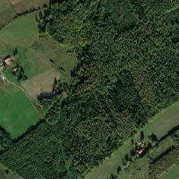 Satelita