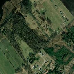 Satelita