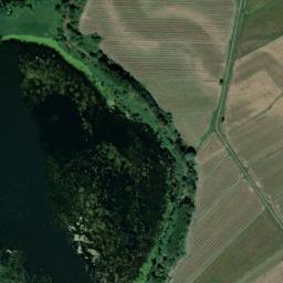 Satelita