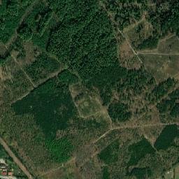 Satelita