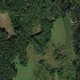 Satelita